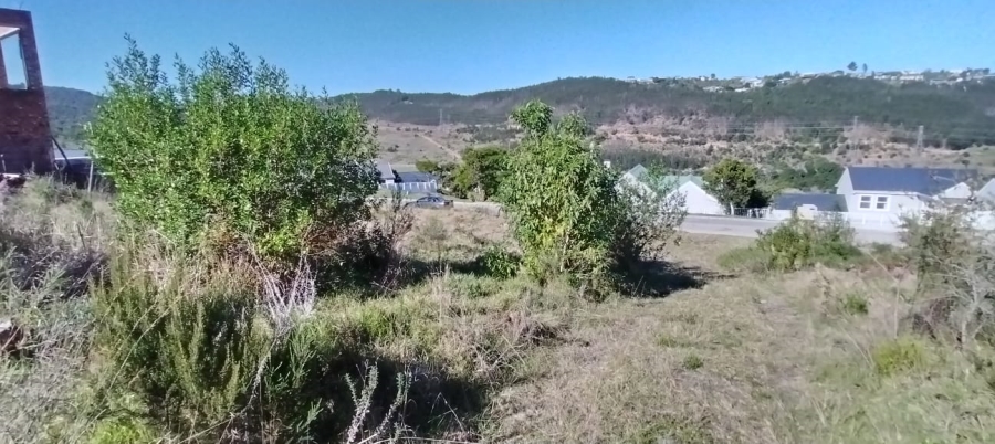 0 Bedroom Property for Sale in Green Pastures Western Cape